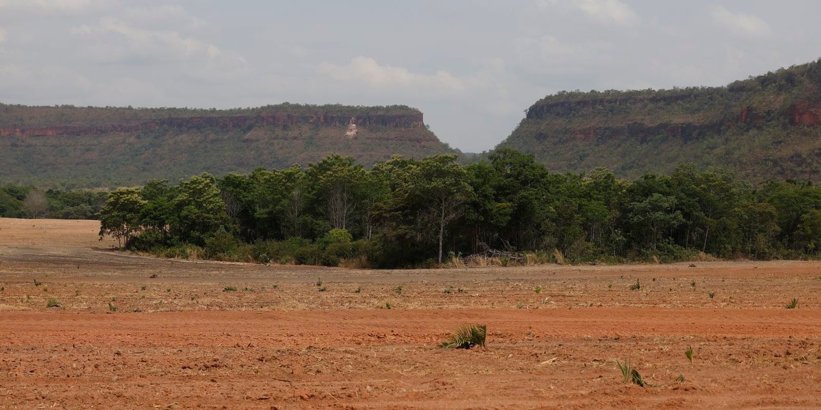 fragmentos-de-vegetacao-nativa-cresceram-no-pais-260%-em-38-anos